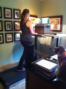 treadmill desk